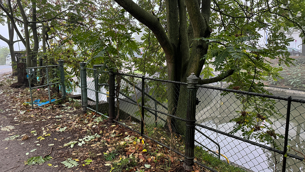Herbstbild
