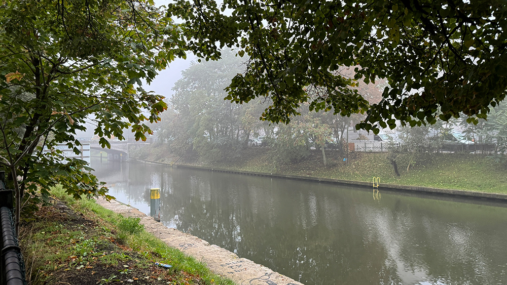 Herbstbild