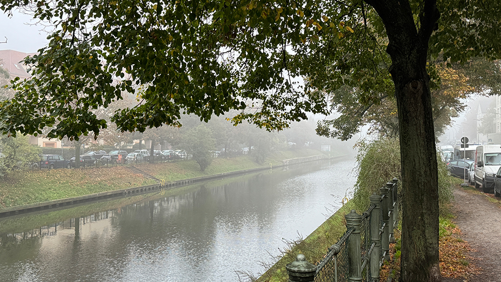 Herbstbild